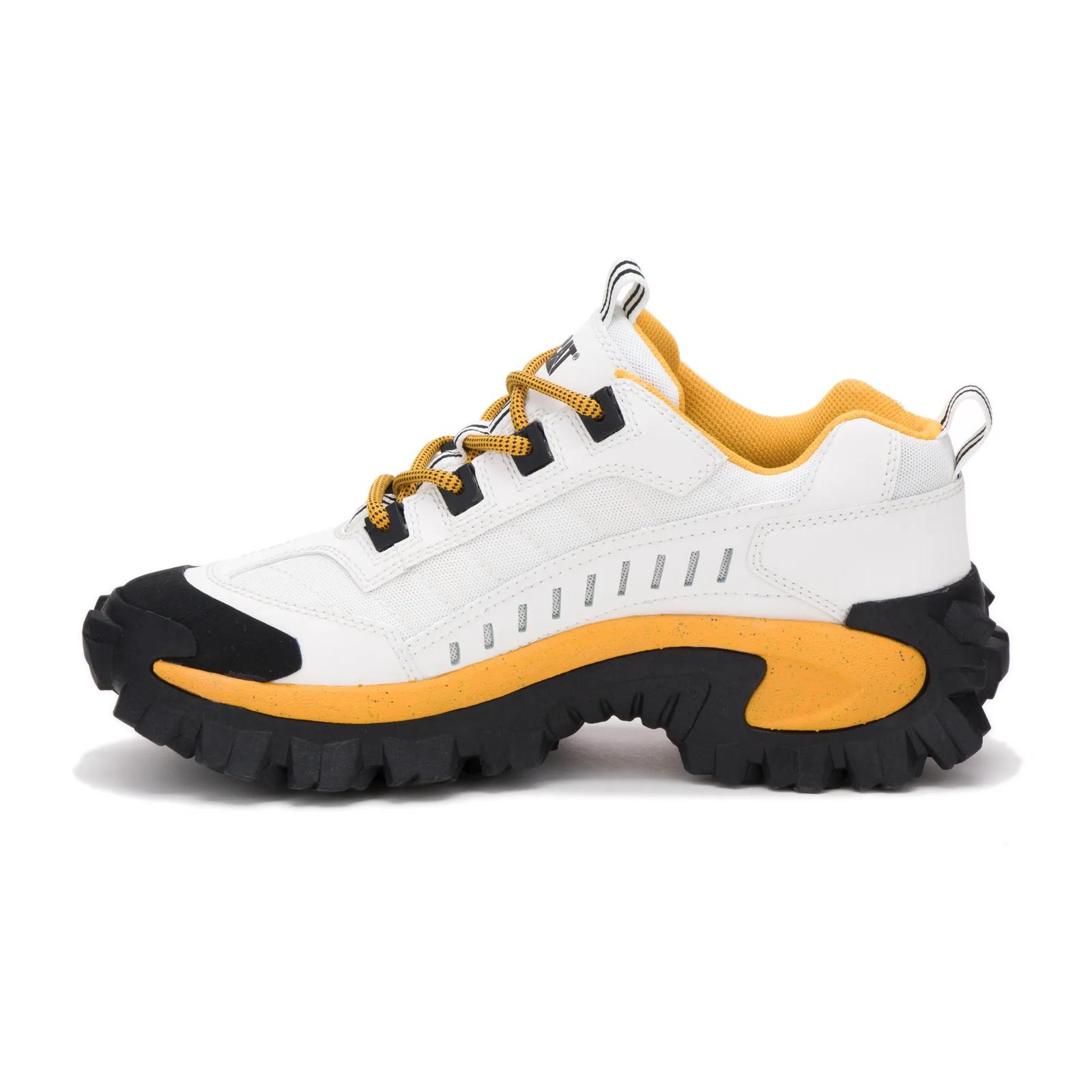 Intruder Shoe